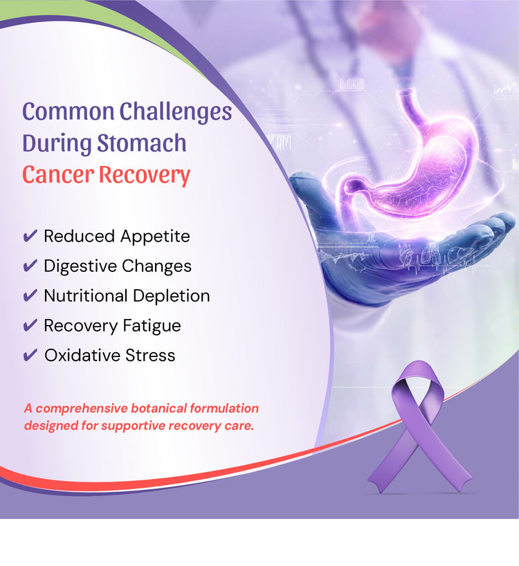 cancer recovery support care, featuring a stomach illustration glowing in purple over a hand, with text listing common challenges during stomach cancer recovery and a purple awareness ribbon on a lavender background.