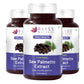Bliss Welness JoshBliss Plus Prostate Health Healthy Hair Growth | Saw Palmetto Extract 800MG | Testosterone Booster Strong Hair Healthy Prostate Health Supplement- 60 Vegetarian Tablets