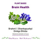 Bliss Welness BrainBliss health tablet for Memory Focus Mood | Brahmi Shankpushpi Ginkgo Biloba & Piperine | Cognitive Development Alertness Anti Anxiety Supplement - 60 Veg Tablets - Bliss Welness