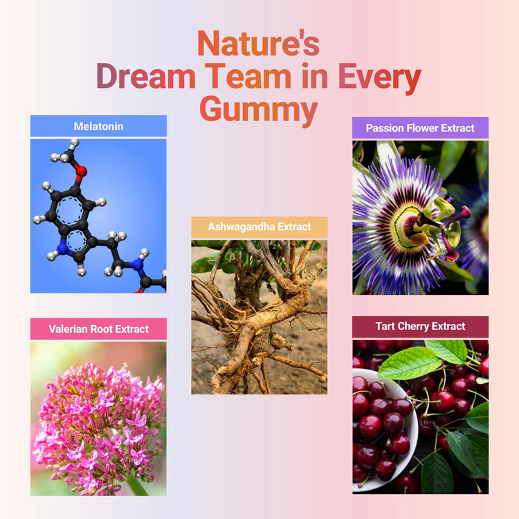 Bliss Welness CalmBliss Sleep Gummies For Better Sleep Cycle | With Melatonin 5 mg | For Men & Woman 30 Veg Gummies ( Berry Blast Flavor) - Bliss Welness