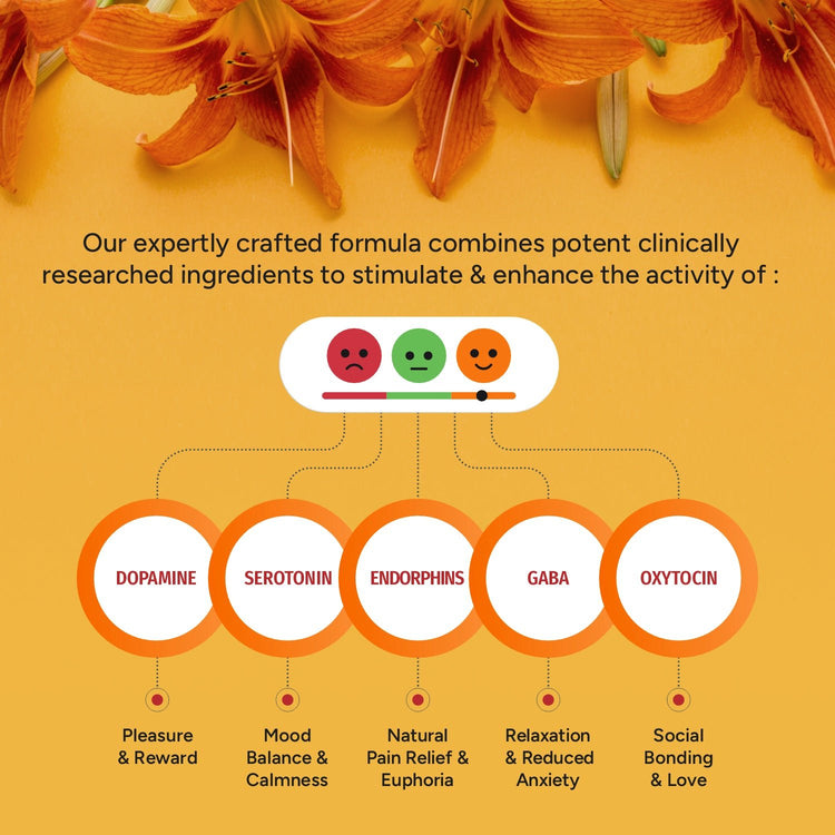 Bliss Welness Happy Bliss : Happiness, Anxiety & Stress Relief Supplement | Supports Calmness, Mood and Happy Hormones | Supports Balance of Cortisol, Dopamine, Endorphins, Serotonin & Oxytocin |Memory, Love & Cognition Support : 30 Servings - Bliss Welness