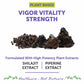 Bliss Welness JoshBliss Natural Strength Vitality Vigor | Pure Shilajit Extract (1000mg) | Enhanced Stamina & Endurance Ayurvedic Herbal Supplement - 60 Vegetarian Tablets - Bliss Welness
