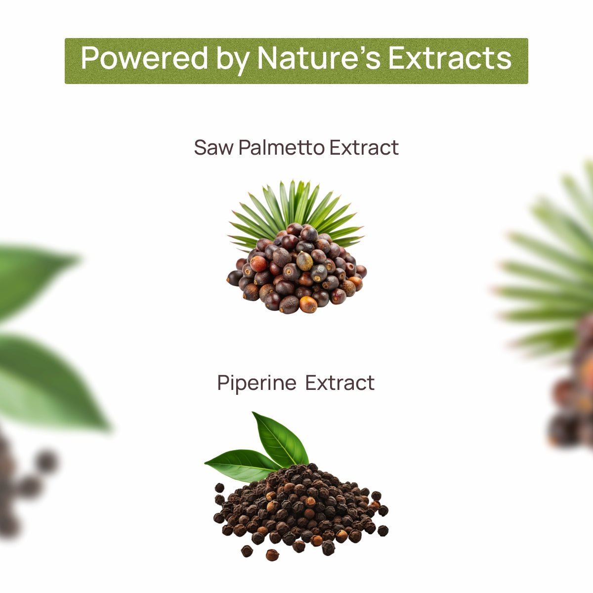 Bliss Welness JoshBliss Plus Prostate Health Healthy Hair Growth | Saw Palmetto Extract 800MG | Testosterone Booster Strong Hair Healthy Prostate Health Supplement - 60 Vegetarian Tablets - Bliss Welness