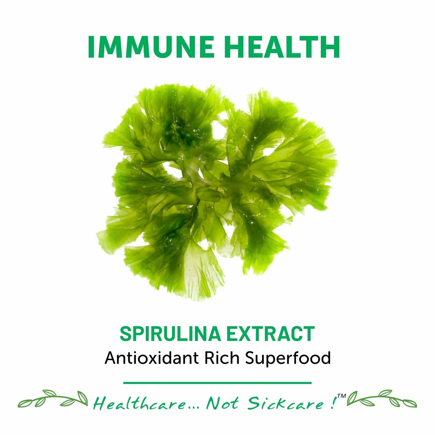 Bliss Welness SuperBliss Natural Spirulina Immunity Booster with Rich Antioxidant | Nutridense Daily Superfood | Give Energy Detox Vegetarian Health Supplement - 120 Tablets - Bliss Welness