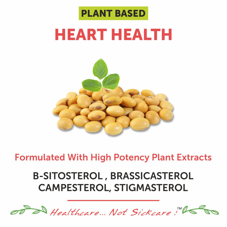 cholesterol supplement tablet lipid control capsule heart level care lower health manage reduce reducing cardiovascular men women ayurvedic ldl hdl cardiac blood