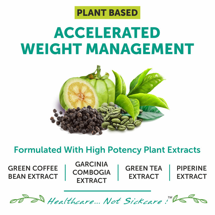 garcinia combogia green tea coffee bean extract capsule tablet weight loss pills slim management fat cut antioxidant metabolism booster