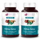 Bliss Welness DetoxBliss Kidney Detox Cleanse Purifier | Gokhru Patharchata Ganoderma | Urinary Tract Infection (UTI) Kidney Stone Dissolution Herbal Supplement - 60 Vegetarian Tablets - Bliss Welness