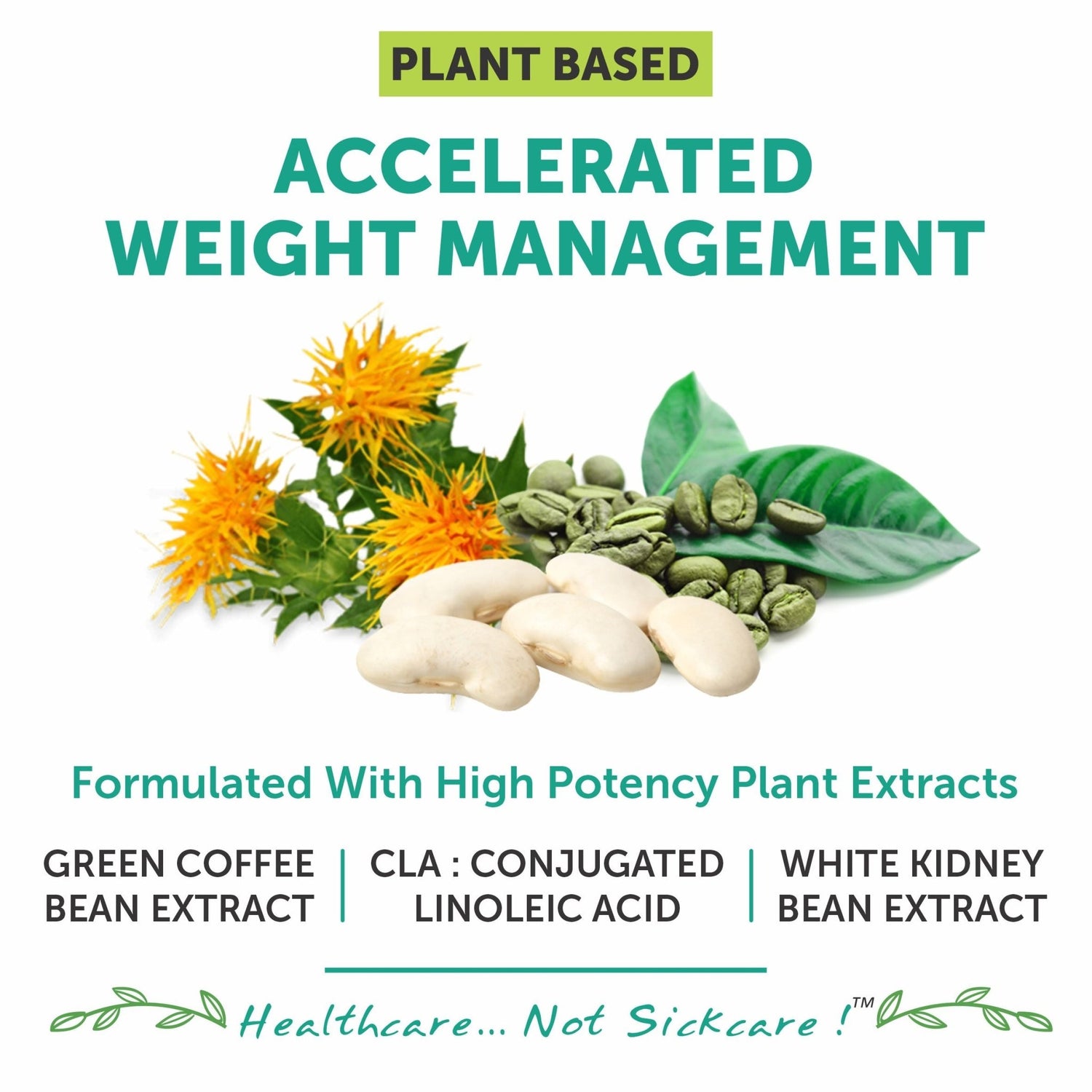 Bliss Welness SlimBliss Absolute CLA + WKB + GCB Extract 360* Weight Management | Carb Control | Metabolism Lean Muscle Health Supplement - 60 Vegeterian Tablets - Bliss Welness