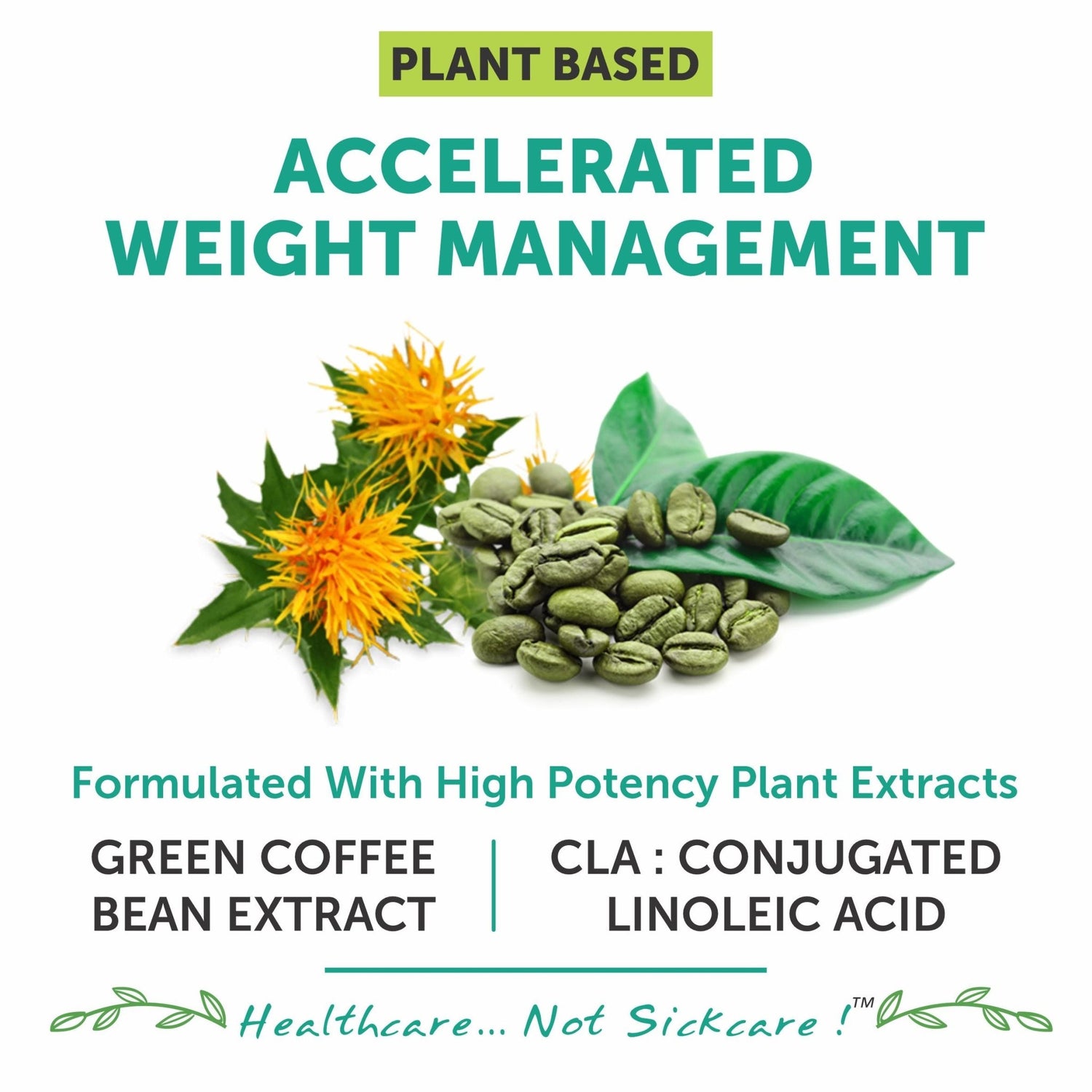 Bliss Welness SlimBliss Gold CLA+ GCB Extract Weight Management Muscle Build | 50%(Green Coffee Bean Extract + CLA | Metabolism Appetite Control | Lean Muscle Health Supplement - 60 Veg Tablets - Bliss Welness